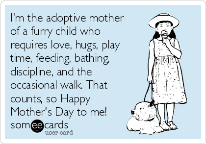 I'm the adoptive mother
of a furry child who
requires love, hugs, play
time, feeding, bathing, 
discipline, and the
occasional walk. That
counts, so Happy
Mother's Day to me!