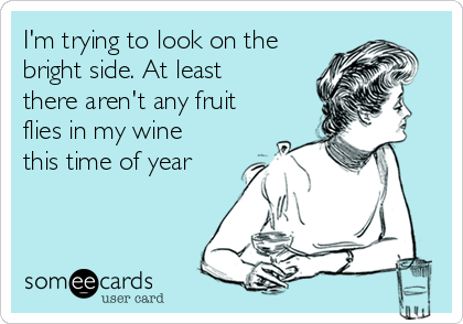 I'm trying to look on the
bright side. At least
there aren't any fruit
flies in my wine
this time of year