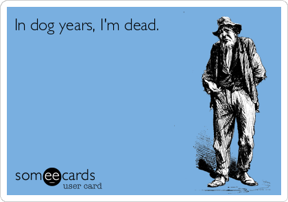 In dog years, I'm dead.