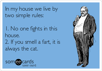 In my house we live by
two simple rules:

1. No one fights in this   
house.
2. If you smell a fart, it is
always the cat.