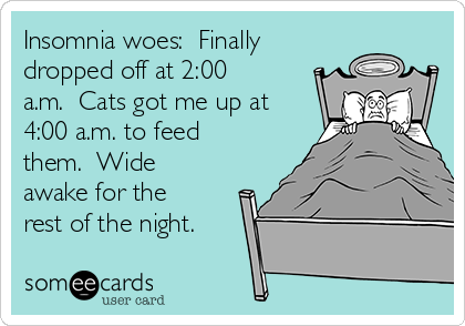 Insomnia woes:  Finally
dropped off at 2:00
a.m.  Cats got me up at
4:00 a.m. to feed
them.  Wide
awake for the
rest of the night.