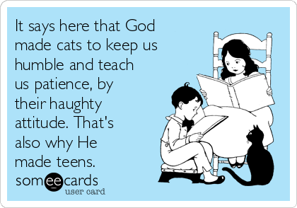 It says here that God
made cats to keep us
humble and teach
us patience, by
their haughty
attitude. That's
also why He
made teens.