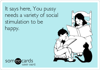 It says here, You pussy
needs a variety of social
stimulation to be
happy.