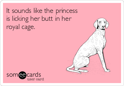 It sounds like the princess
is licking her butt in her
royal cage.