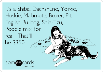 It's a Shiba, Dachshund, Yorkie,
Huskie, Malamute, Boxer, Pit,
English Bulldog, Shih-Tzu,
Poodle mix, for
real.  That'll
be $350.