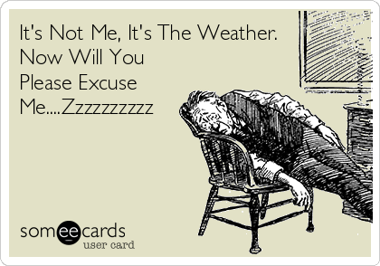 It's Not Me, It's The Weather.
Now Will You
Please Excuse
Me....Zzzzzzzzzz