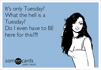 It's only Tuesday? 
What the hell is a
Tuesday? 
Do I even have to BE
here for this??!!