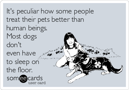 It's peculiar how some people treat their pets better than human beings.  Most dogs don't even have to sleep on the floor. | News Ecard