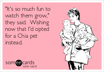 "It's so much fun to
watch them grow,"
they said.  Wishing
now that I'd opted
for a Chia pet
instead.