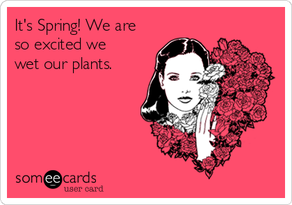 It's Spring! We are
so excited we
wet our plants. 