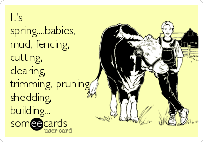 It's
spring....babies,
mud, fencing,
cutting,
clearing,
trimming, pruning,
shedding,
building...