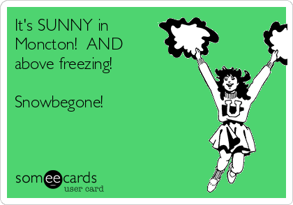 It's SUNNY in
Moncton!  AND
above freezing!

Snowbegone!