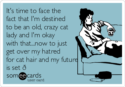 It's time to face the
fact that I'm destined
to be an old, crazy cat
lady and I'm okay
with that...now to just
get over my hatred
for cat hair and my future
is set 