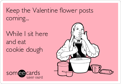 Keep the Valentine flower posts
coming...

While I sit here
and eat
cookie dough