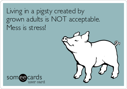 Living in a pigsty created by
grown adults is NOT acceptable. 
Mess is stress!