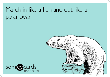 March in like a lion and out like a
polar bear.