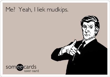 Me?  Yeah, I liek mudkips.