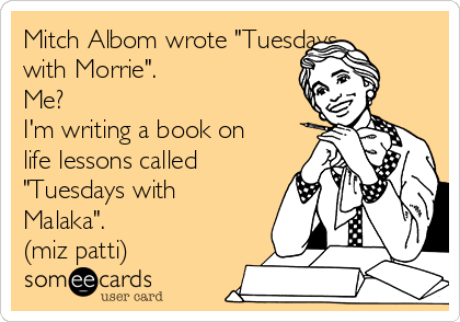 Mitch Albom wrote "Tuesdays
with Morrie". 
Me?  
I'm writing a book on
life lessons called
"Tuesdays with
Malaka".    
(miz patti)