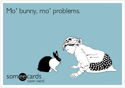 Mo' bunny, mo' problems.