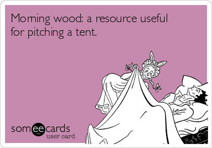 Morning wood: a resource useful
for pitching a tent.