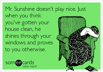 Mr. Sunshine doesn't play nice. Just
when you think
you've gotten your
house clean, he
shines through your 
windows and proves
to you otherwise.
