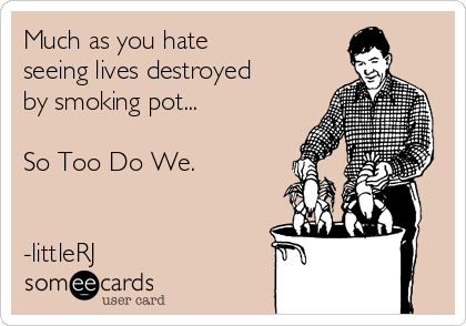Much as you hate
seeing lives destroyed
by smoking pot...

So Too Do We.


-littleRJ