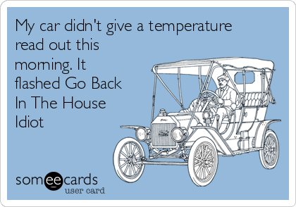 My car didn't give a temperature
read out this
morning. It
flashed Go Back
In The House
Idiot