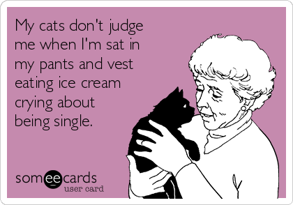 My cats don't judge
me when I'm sat in
my pants and vest
eating ice cream
crying about
being single.