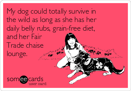 My dog could totally survive in
the wild as long as she has her
daily belly rubs, grain-free diet,
and her Fair
Trade chaise
lounge.