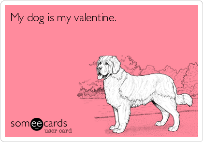 My dog is my valentine.