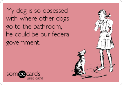 My dog is so obsessed 
with where other dogs 
go to the bathroom,
he could be our federal
government.
