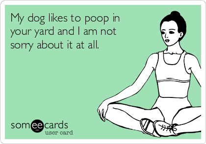 My dog likes to poop in
your yard and I am not
sorry about it at all.