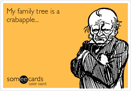 My family tree is a
crabapple...