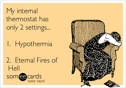 My internal
thermostat has
only 2 settings...

1.  Hypothermia
      
2.  Eternal Fires of
 Hell