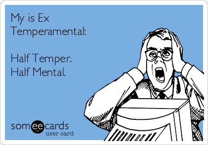My is Ex
Temperamental: 

Half Temper.
Half Mental.