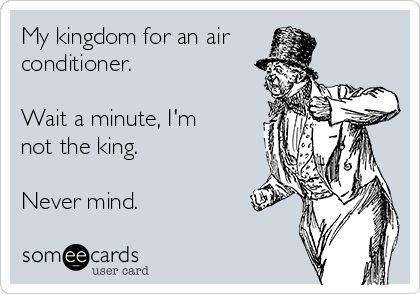 My kingdom for an air
conditioner. 

Wait a minute, I'm
not the king. 

Never mind.