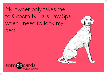 My owner only takes me
to Groom N Tails Paw Spa
when I need to look my
best!