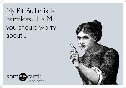 My Pit Bull mix is
harmless... It's ME
you should worry
about...