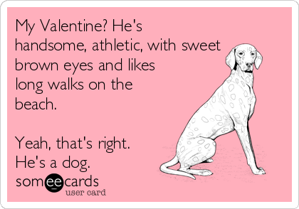 My Valentine? He's
handsome, athletic, with sweet
brown eyes and likes
long walks on the
beach.

Yeah, that's right.
He's a dog.