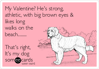 My Valentine? He's strong,
athletic, with big brown eyes &
likes long
walks on the
beach.........

That's right,
It's my dog