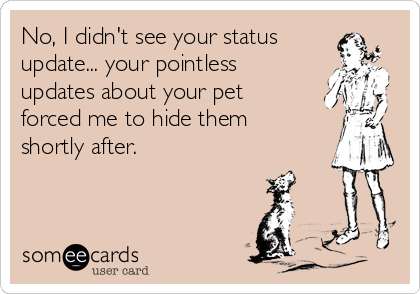 No, I didn't see your status
update... your pointless
updates about your pet
forced me to hide them
shortly after.