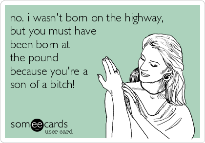 no. i wasn't born on the highway,
but you must have
been born at
the pound
because you're a
son of a bitch!