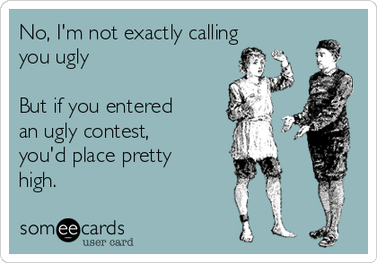No, I'm not exactly calling
you ugly

But if you entered
an ugly contest,
you'd place pretty
high.