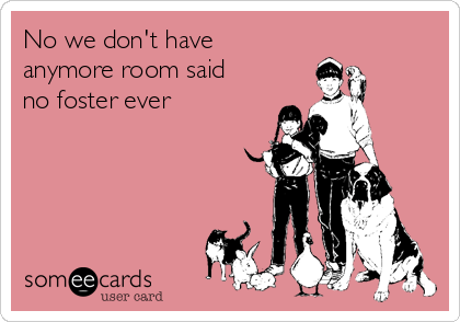 No we don't have
anymore room said
no foster ever