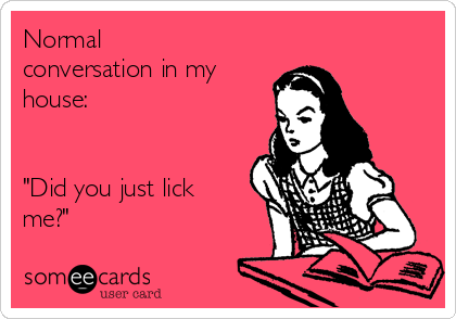 Normal
conversation in my
house:


"Did you just lick
me?"