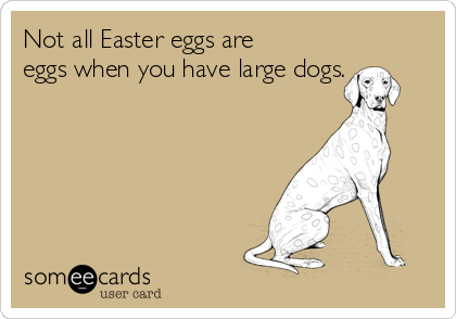 Not all Easter eggs are
eggs when you have large dogs.