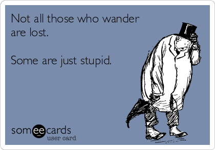 Not all those who wander
are lost.

Some are just stupid.