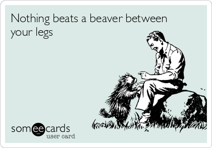 Nothing beats a beaver between
your legs