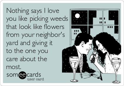 Nothing says I love
you like picking weeds
that look like flowers
from your neighbor's
yard and giving it
to the one you
care about the
most. 