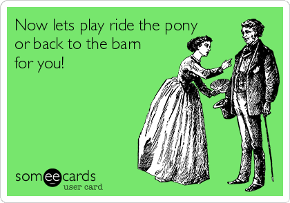 Now lets play ride the pony
or back to the barn
for you!